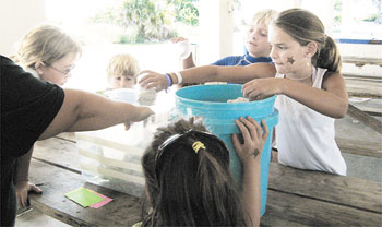 Anna Maria Island Sun News Story