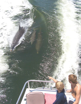 Anna Maria Island Sun News Story