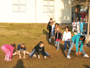 Anna Maria Island Sun News Story