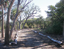 Anna Maria Island Sun News Story