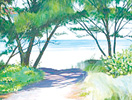 Anna Maria Island Sun News Story