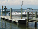 Anna Maria Island Sun News Story