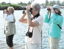 Anna Maria Island Sun News Story