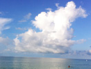 Anna Maria Island Sun News Story
