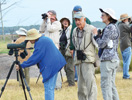 Anna Maria Island Sun News Story