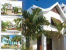 Anna Maria Island Sun News Story