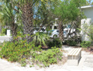 Anna Maria Island Sun News Story