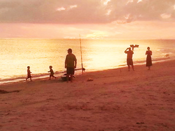 Anna Maria Island Sun News Story