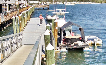 Anna Maria Island Sun News Story